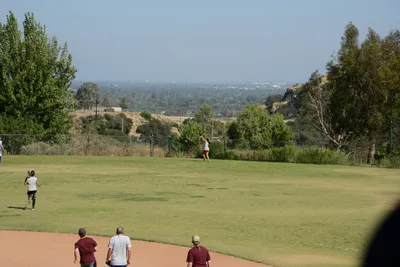 DSC_3913 (Large).JPG